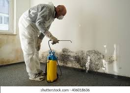 Mold Remediation for Vacation Homes in Fairless Hills, PA